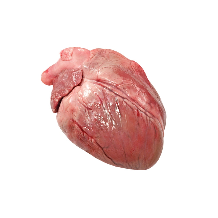 Фото Свиное сердце кг