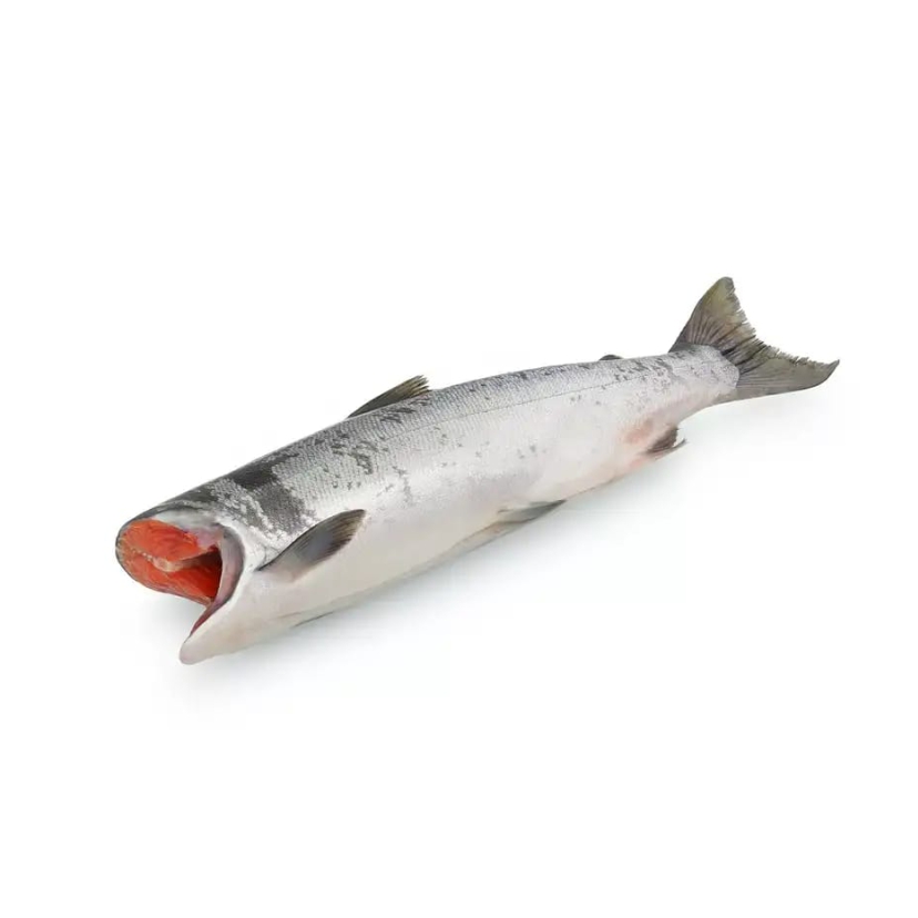 Фото Кета ПБГ 1 кг