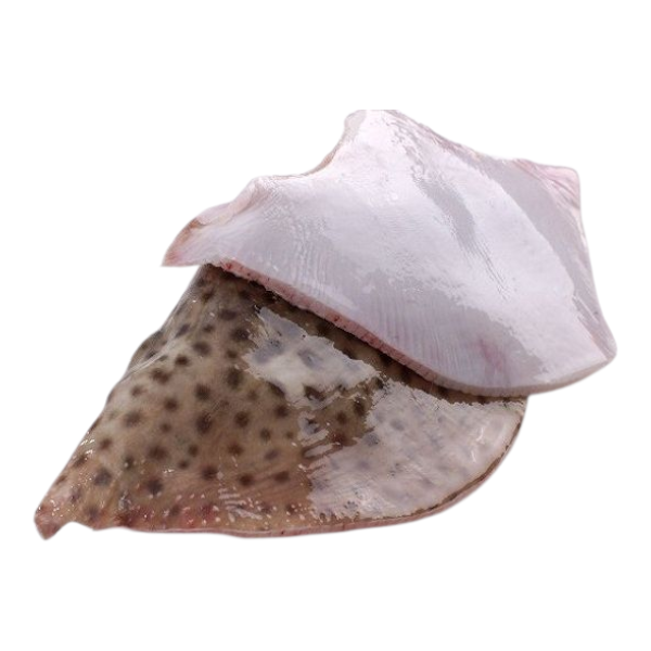 Фото Скат крыло порционный кусок (вак/уп0.5кг)