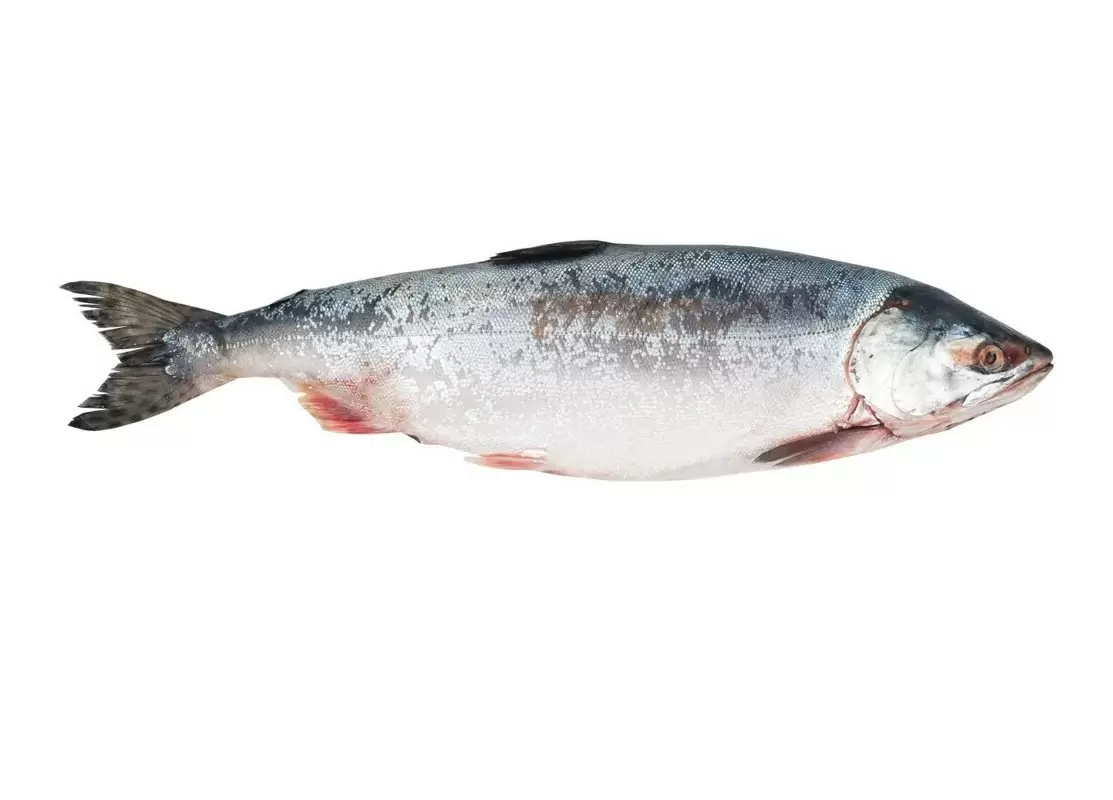 Фото Горбуша ПСГ 1кг