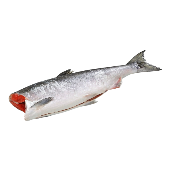 Фото Нерка ПБГ