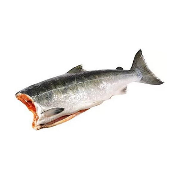 Фото Кижуч ПБГ 1.2-1.8 кг