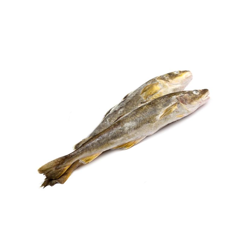 Фото Навага н/р кг